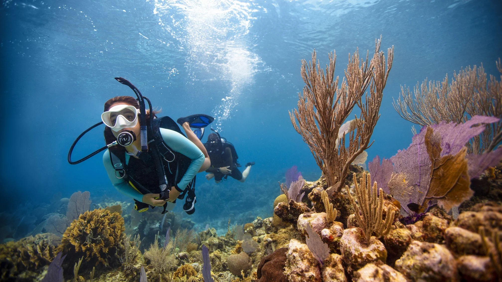 PADI Open Water Diver